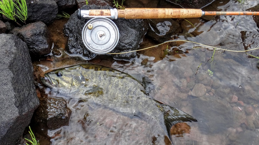 Paddle Freaks Outfitter ブラックバスにはショートロッドが有効か