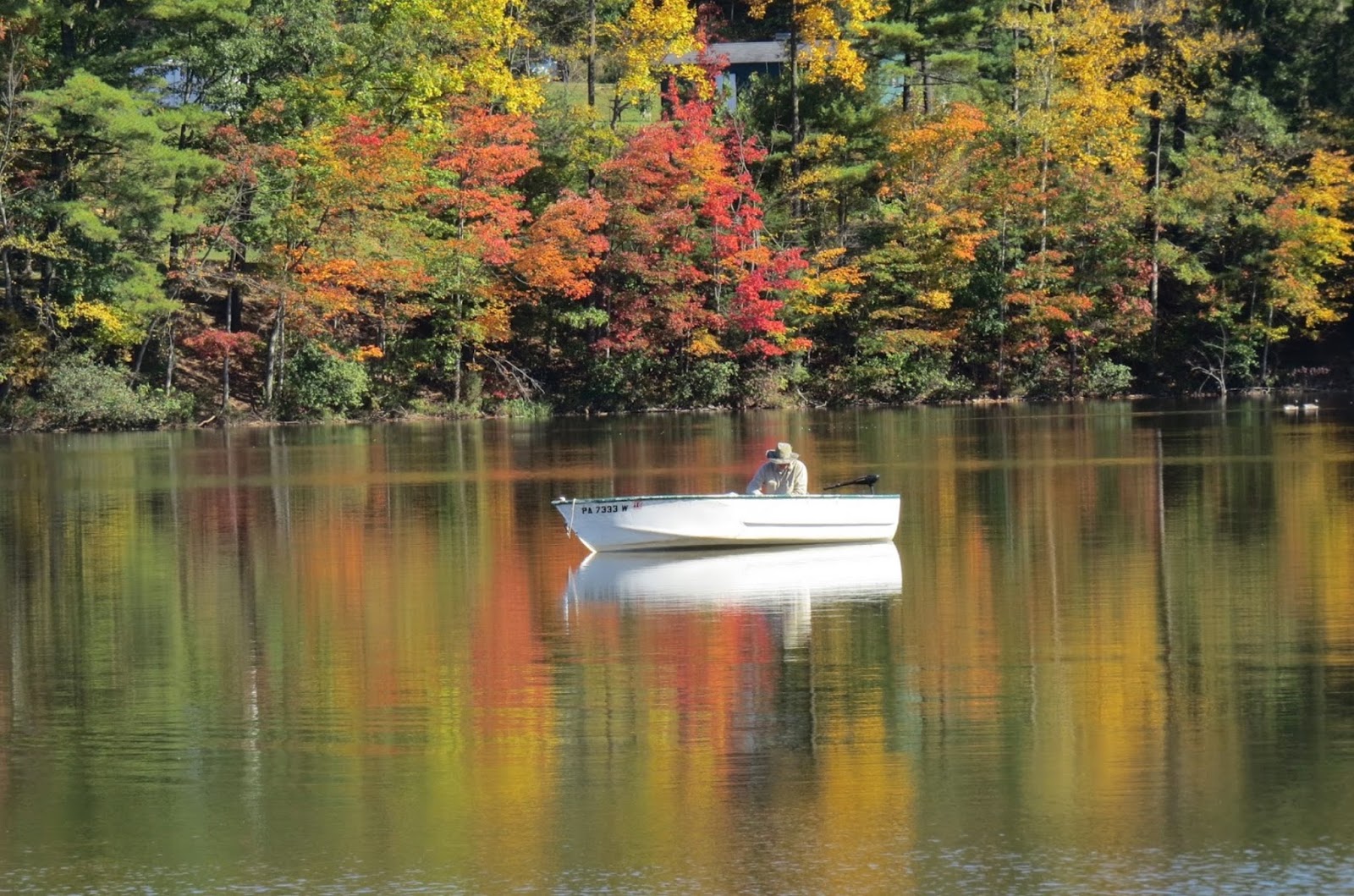 PA Environment Digest Blog Discover Sweet Arrow Lake Park, Schuylkill