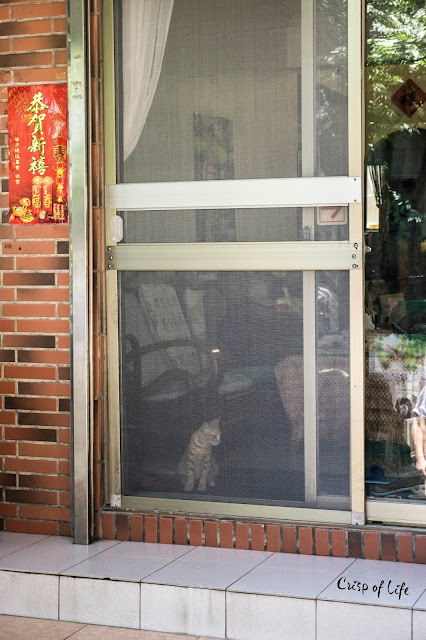 [TAIPEI 台北] Day 4:  Jiu Fen old street 第四天：九份老街