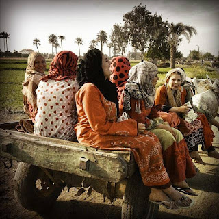 Back Home Collection , Egypt ,
