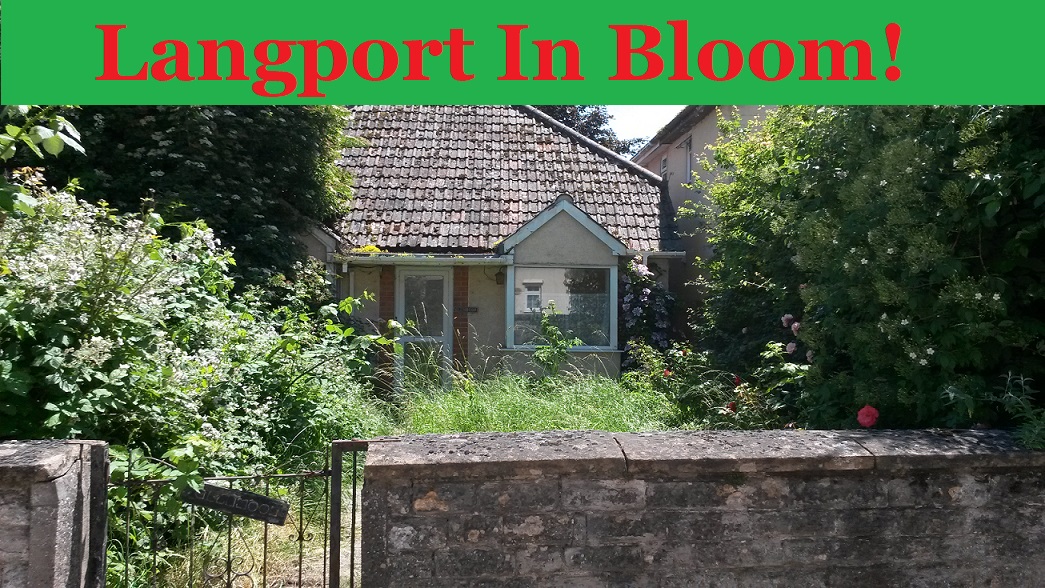 Carry On Langport June 2018 Saay 23 June 2018