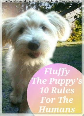 Fluffy The Puppy's 10 Rules For The Humans Fluffy The Puppy's 10 Rules For The Humans
