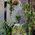Jardines Kokedama