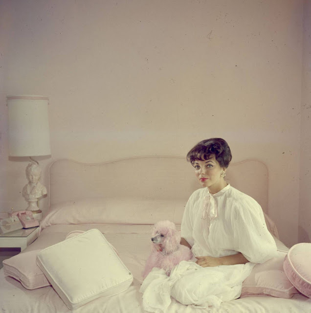 Check Out What Slim Aarons and Joan Collins Looked Like  in 1955 