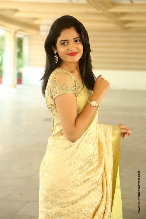 Harshita at Silk India Expo 2017 Launch