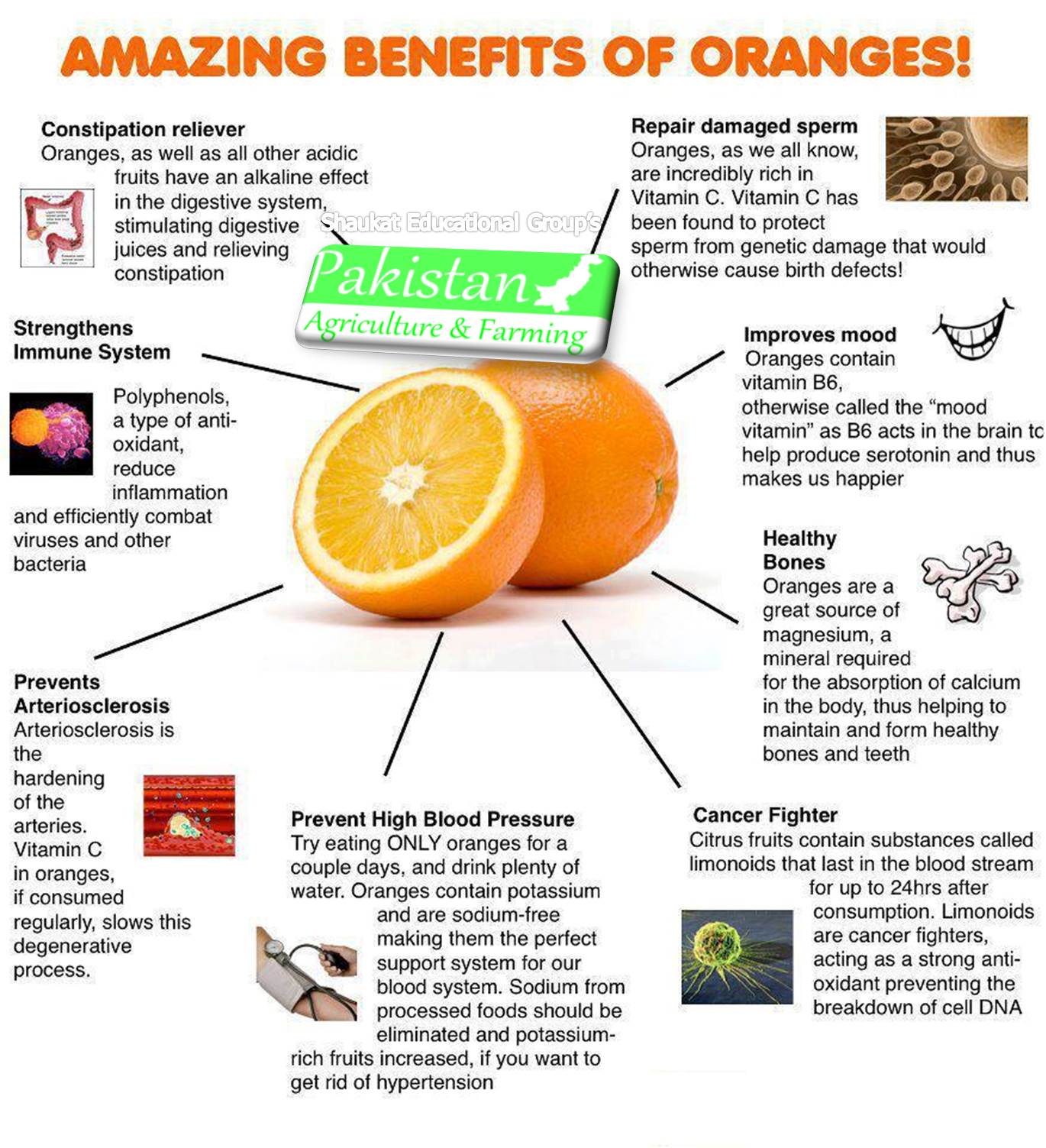 Analytiker udsagnsord rygte Amazing Benefits of Orange