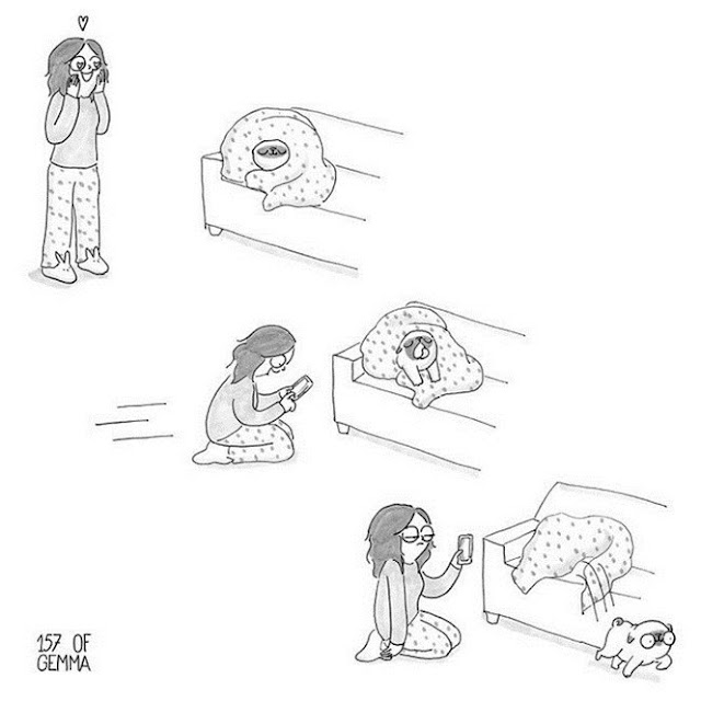 como é ter um shih tzu