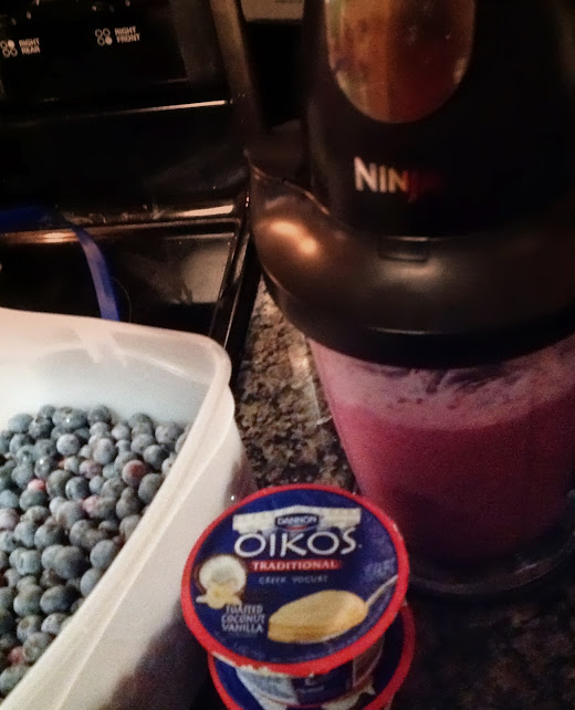 a glimpse of our life The Art of Frozen Yogurt A Simple Recipe for a