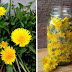 20 Little-Known Uses for Dandelions From Baking and Pain RELIEF to Quickly Removing Warts