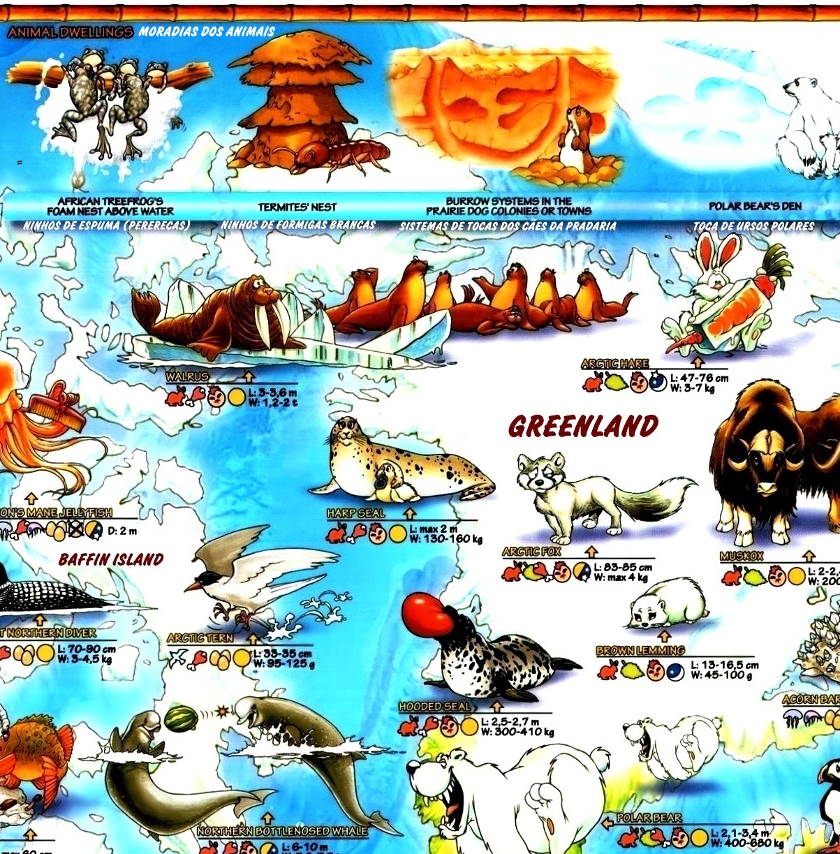 mapa decoracao animais infantil aprender