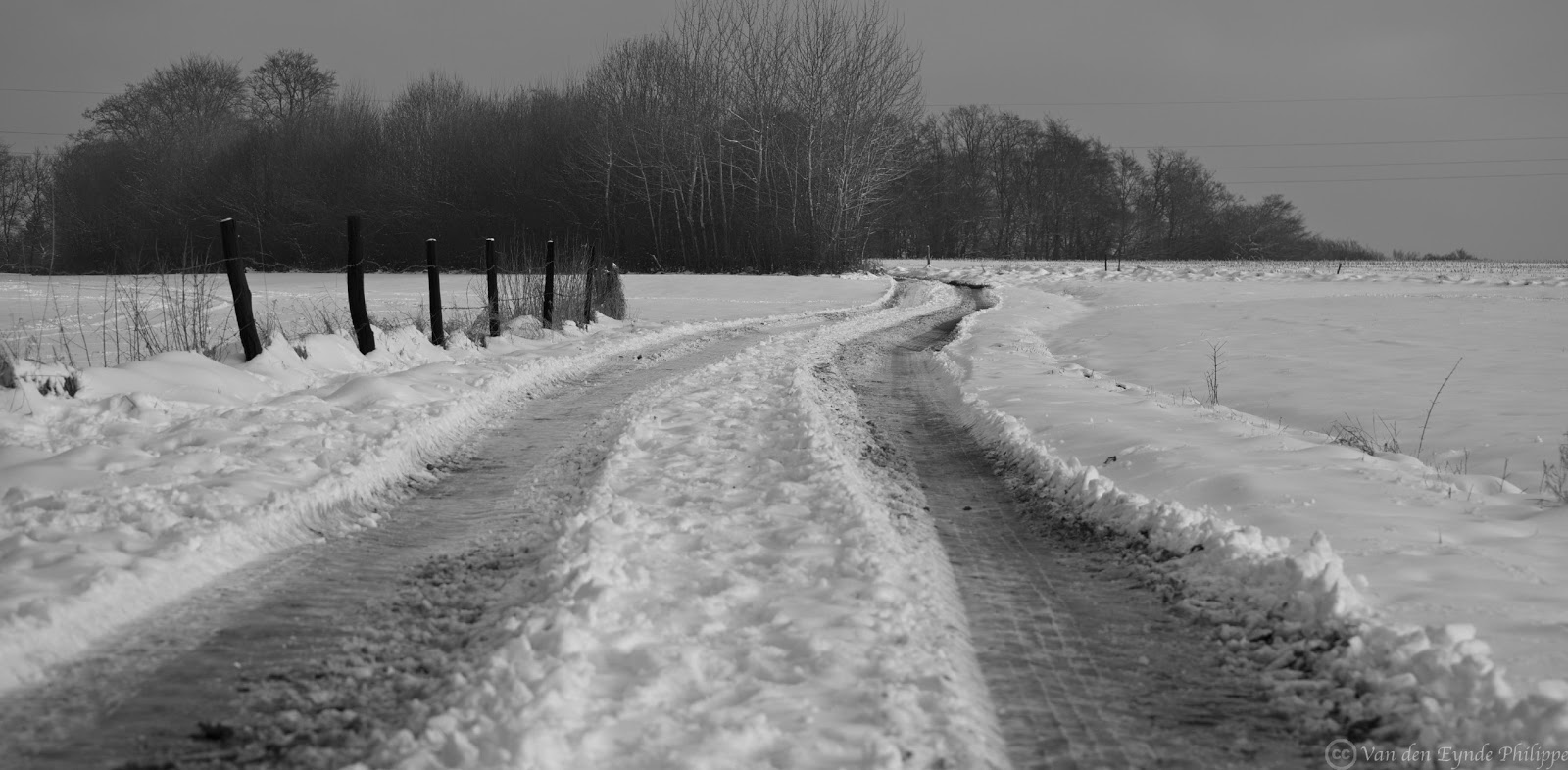 VdE Tribulations January Snow