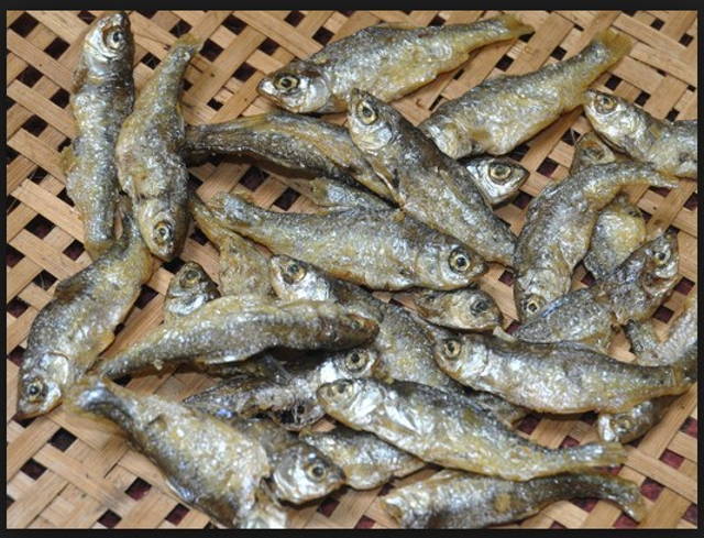 Ini Dia 40 Jenis Ikan Konsumsi Air Tawar Beserta Gambarnya - infoikan.com