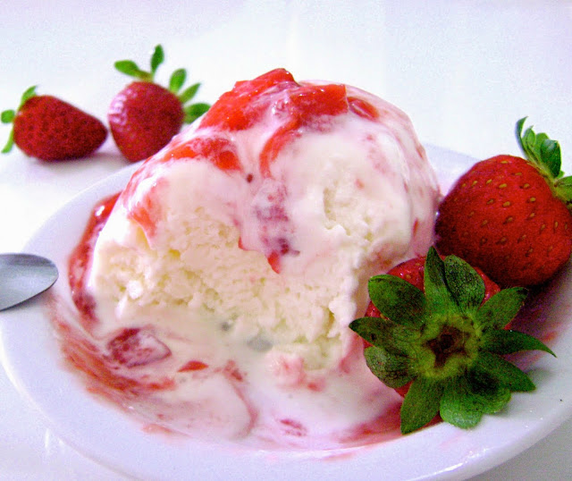 frozen-de-iogurte-light-receitasdacaixinha