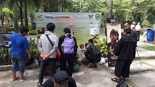 ki joko tumut ponselgraphy