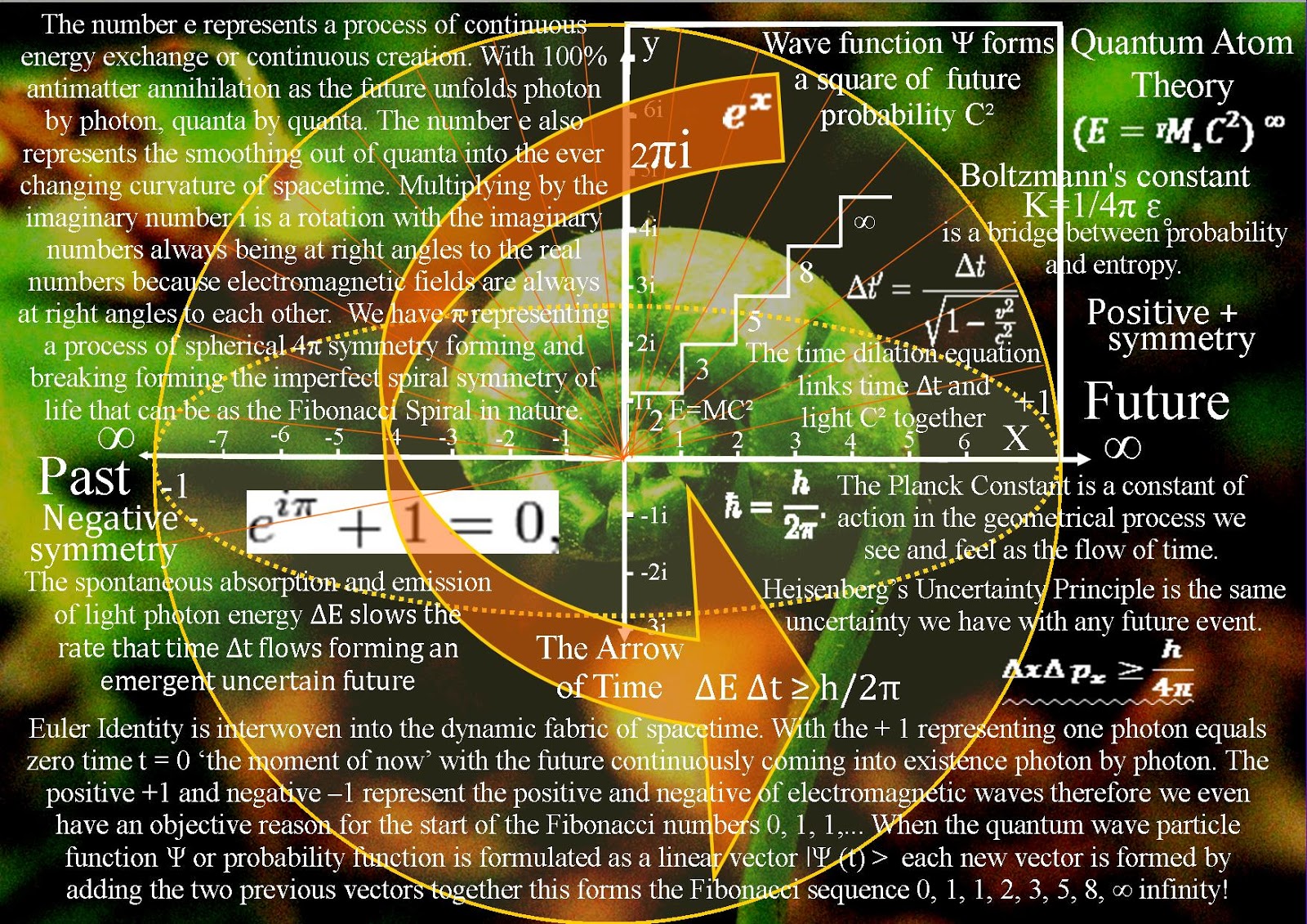 Fibonacci spiral explained gulffarms