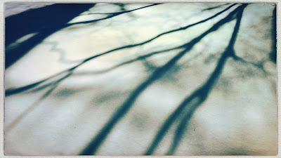 Sun painting shadows / freshly-prepared white canvas / of new-fallen snow. // micropoetry - haiku