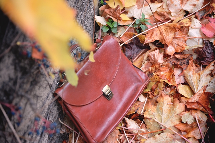 Le Vrai Bracelet De Mia Et Moi Le dressing de Leeloo: °°°° Couleurs d'automne
