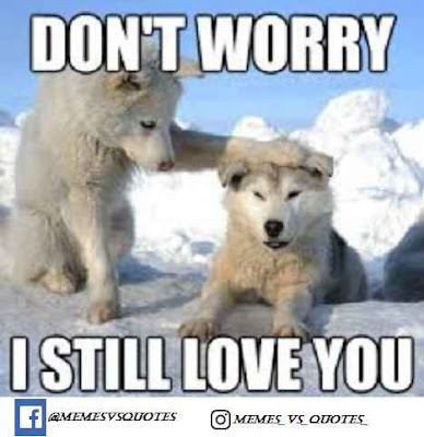 Best I love you meme / Love Meme Still love you