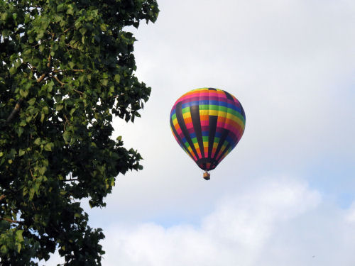 hot air balloon