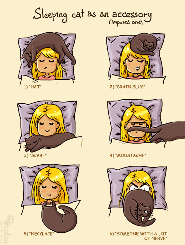 15+ Comics That Purrfectly Capture Life With Cats 15+ Comics That Purrfectly Capture Life With Cats