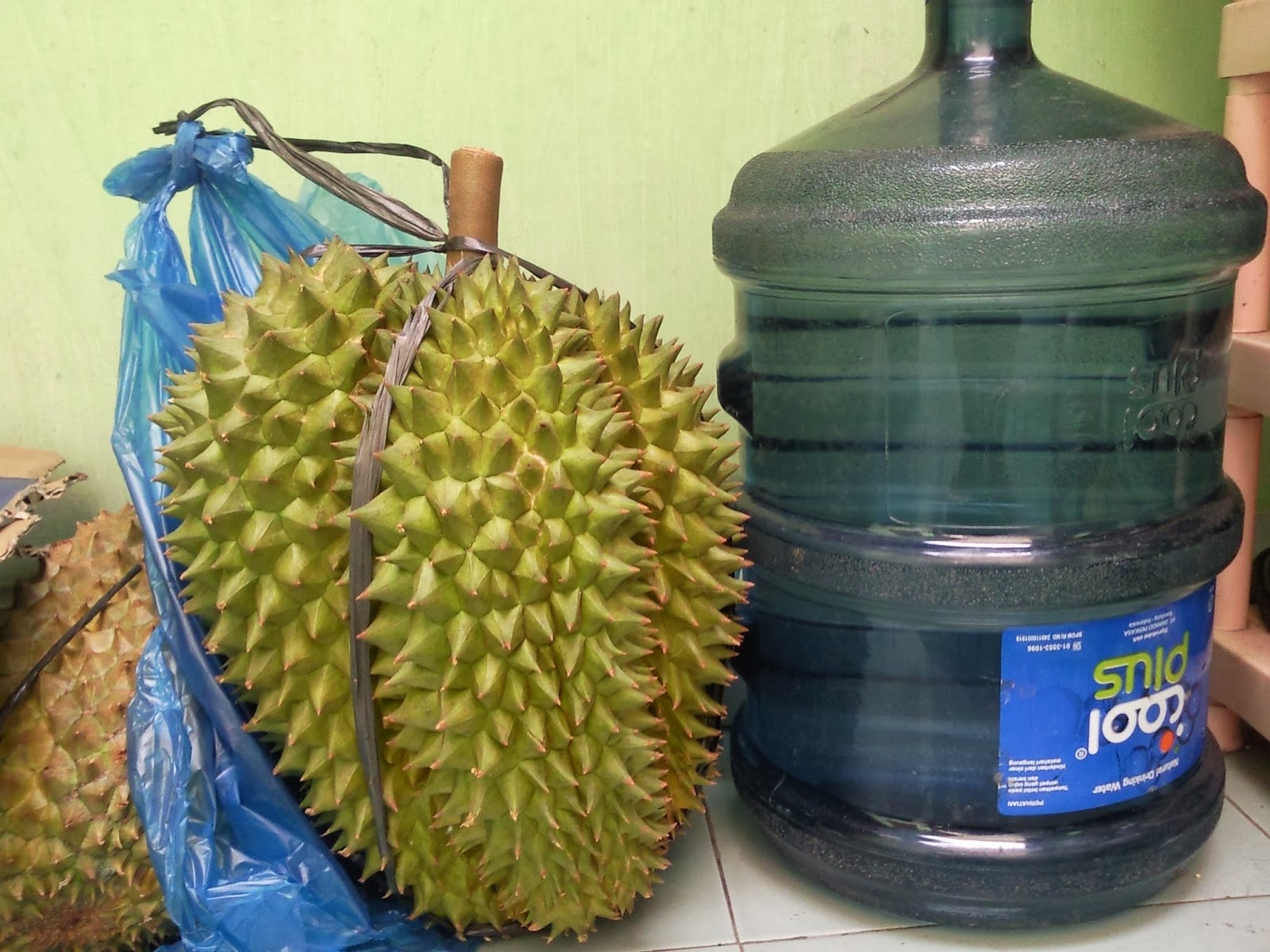 WARUNG BIBIT BANYUWANGI: Bibit Durian Bhinneka Bawor