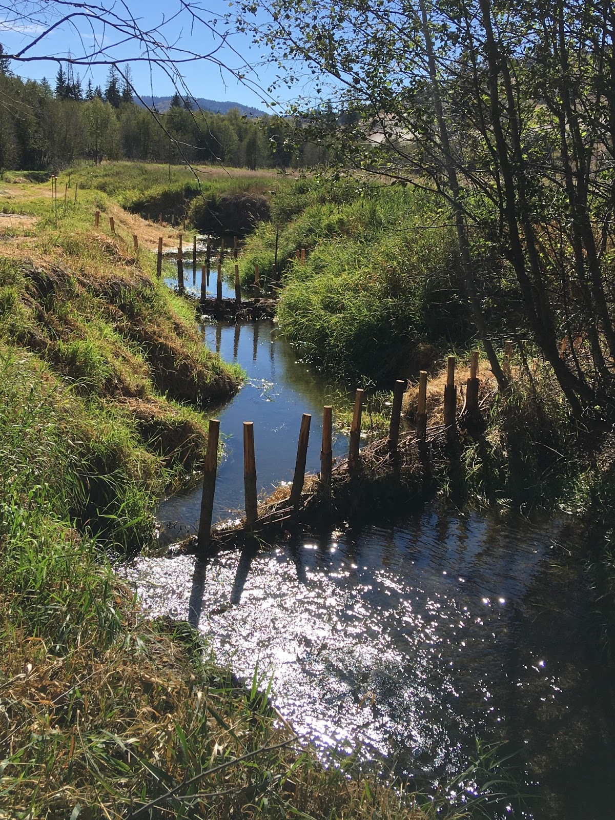 Washington Department of Ecology Funding supports jobs and clean water