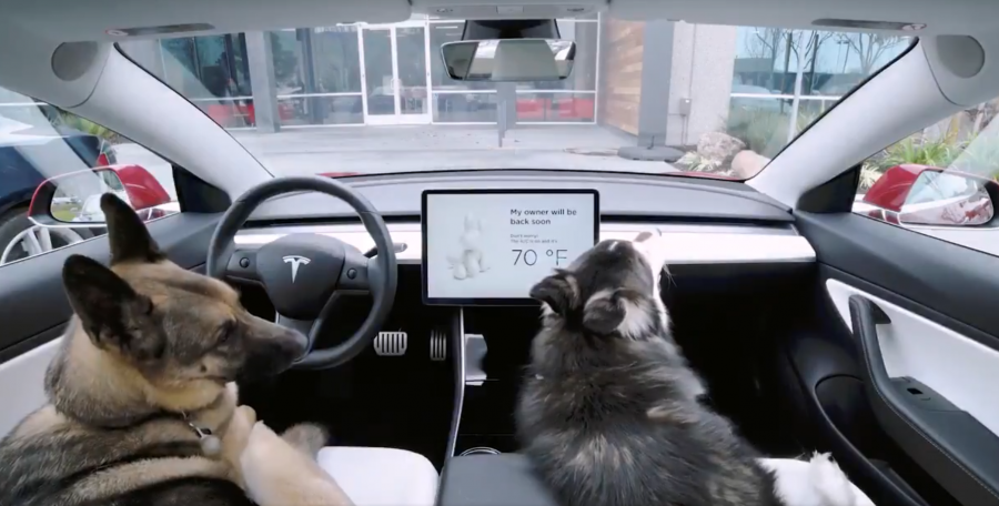 Tesla’s New 'Dog Mode' Is Designed To Keep Unattended Animals Cool On The Hot Days Tesla’s New 'Dog Mode' Is Designed To Keep Unattended Animals Cool On The Hot Days