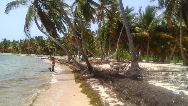 Hotel Be Live Collection Punta Cana, Dominikana, Punta Cana dzika plaża