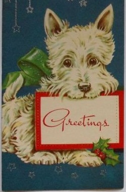 American Christmas: dog greeting card