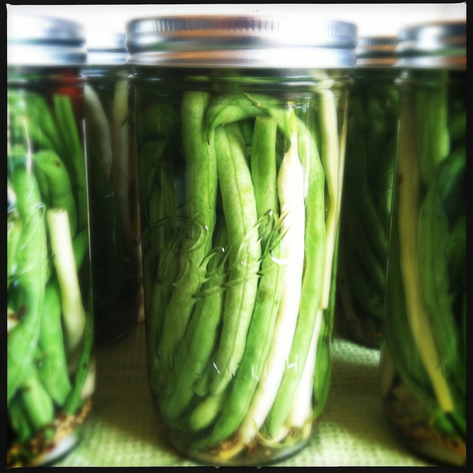CanCan Spicy Pickled Green Beans