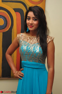 Bhanu Tripathi in Sleeveless Floor Lenght Anarkali gown At Desire Exhibition Launch 004
