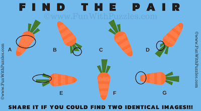 Answer of Find the Pair: Brain Training Game Puzzle