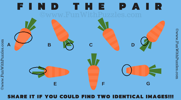 Find the Pair: Brain Training Game Puzzle Answer