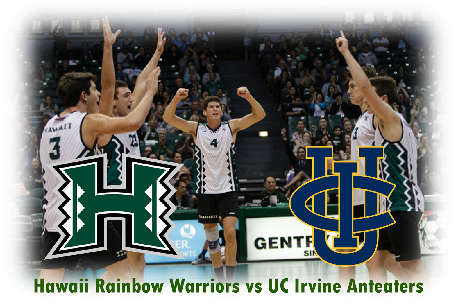 At The Net: A Rainbow Warrior Volleyball Blog by Tiff Wells