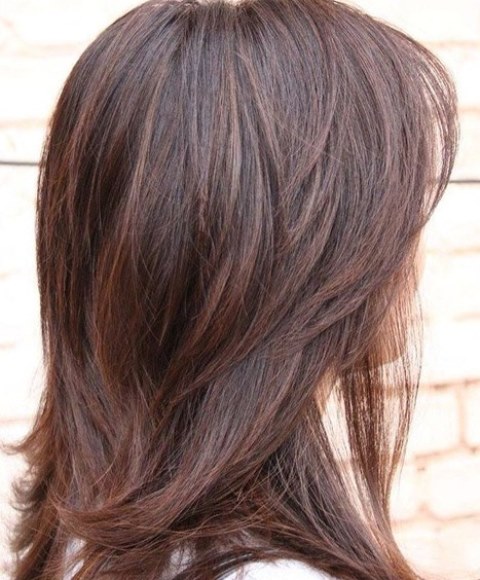 Rambut Favorit