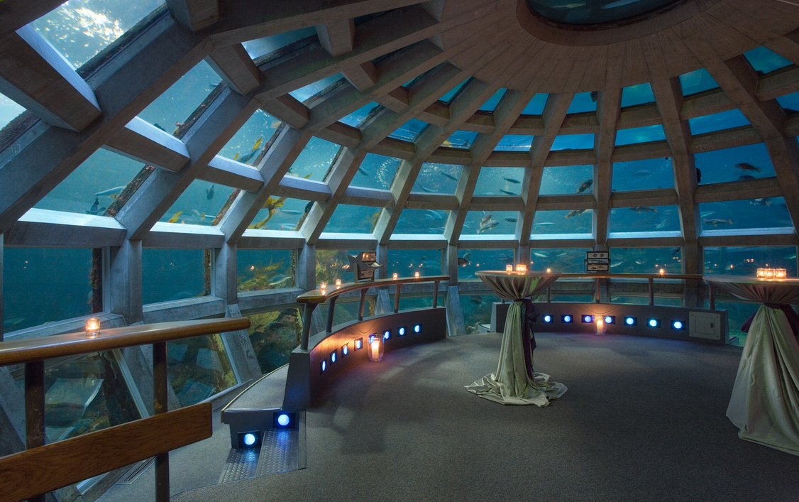 The Seattle Aquarium Wedding Venue Klik Vacations The Seattle Aquarium Wedding Venue