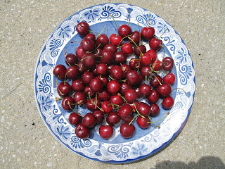 Cherries on blue and white plate