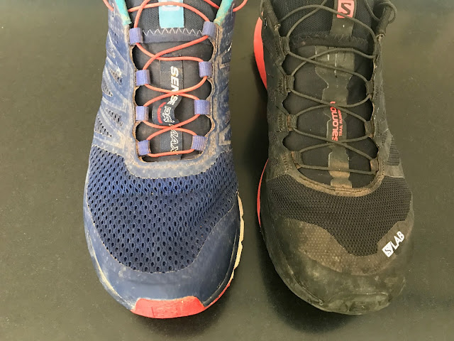 salomon sense pro max w