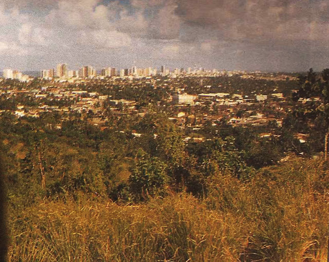 Foto 17 - Aí vemos trecho considerável da área norte de Vitória. à esquerda e ao fundo aparece o mar. Foto do autor, outubro de 1989. Foto 17 - Aí vemos trecho considerável da área norte de Vitória. à esquerda e ao fundo aparece o mar. Foto do autor, outubro de 1989.