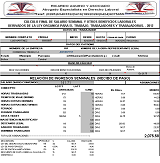 programa en Excel para calcular el salario quincenal por paquete