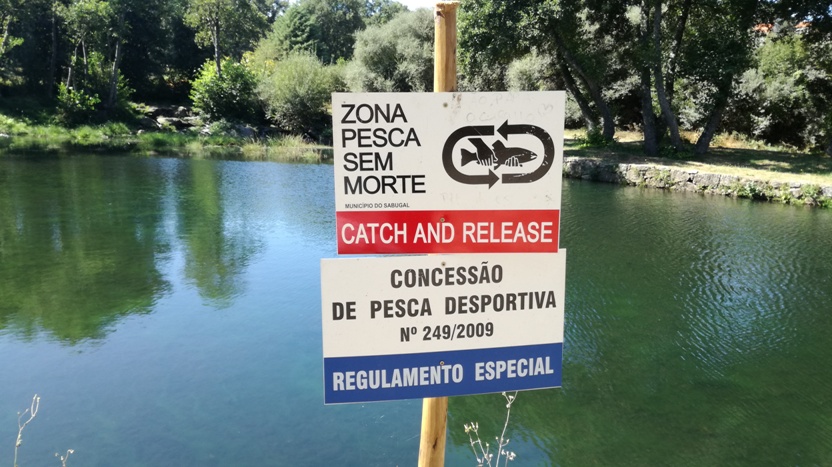 Zona ade Pesca - Catch and Realease