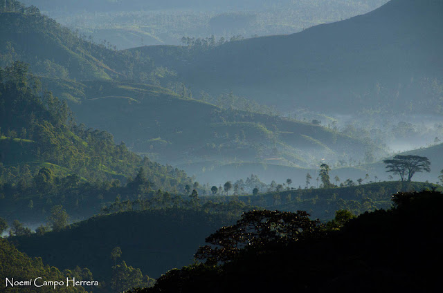Bajando de Adams Peak al amanecer la luz lo inunda todo