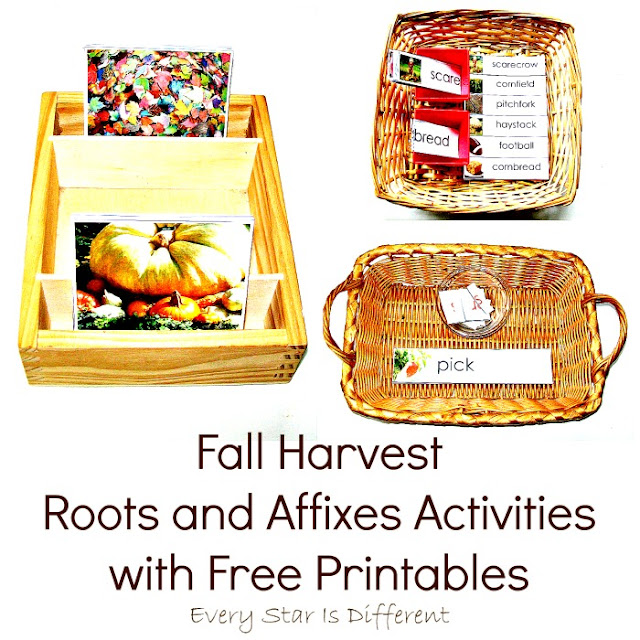 Fall Harvest Roots and Affixes