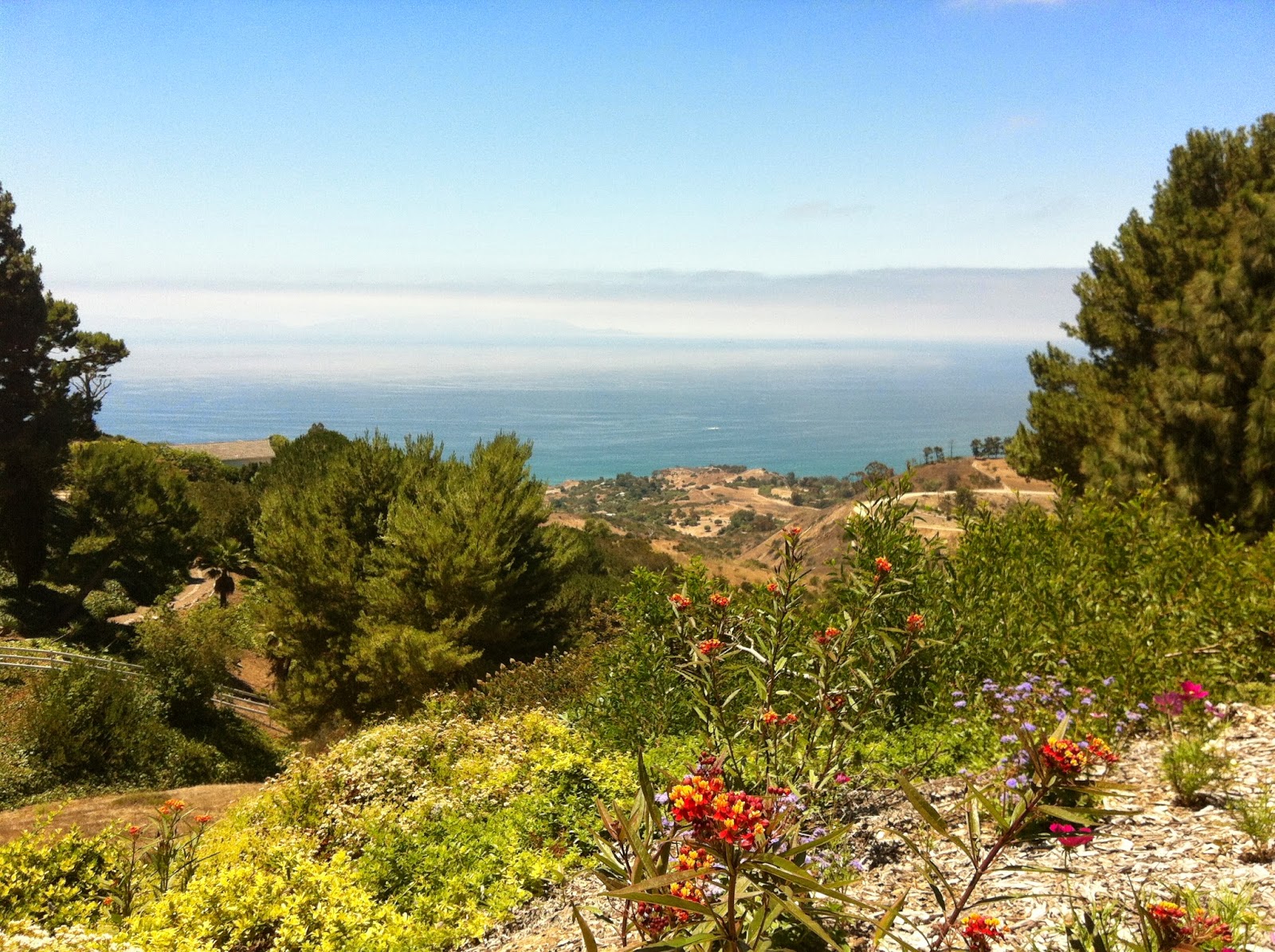 Hills Of Palos Verdes