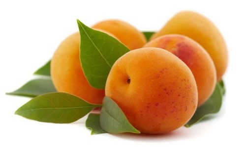 Propriétés et bienfaits de l'abricot : frais, abricot sec