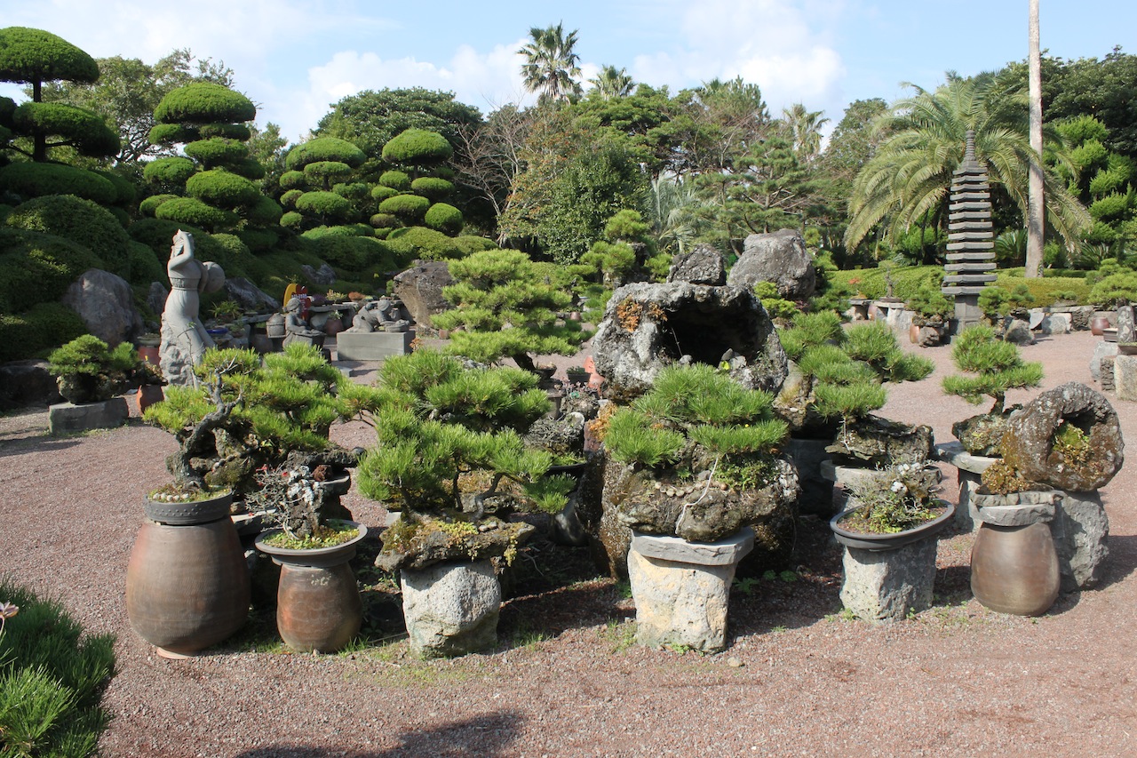 Simple Simon Says.. Jeju Ilchul Land