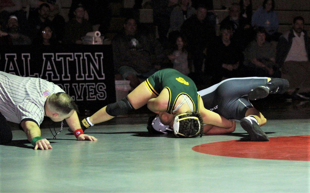 Men Wrestling Women powerful wrestler pins her man