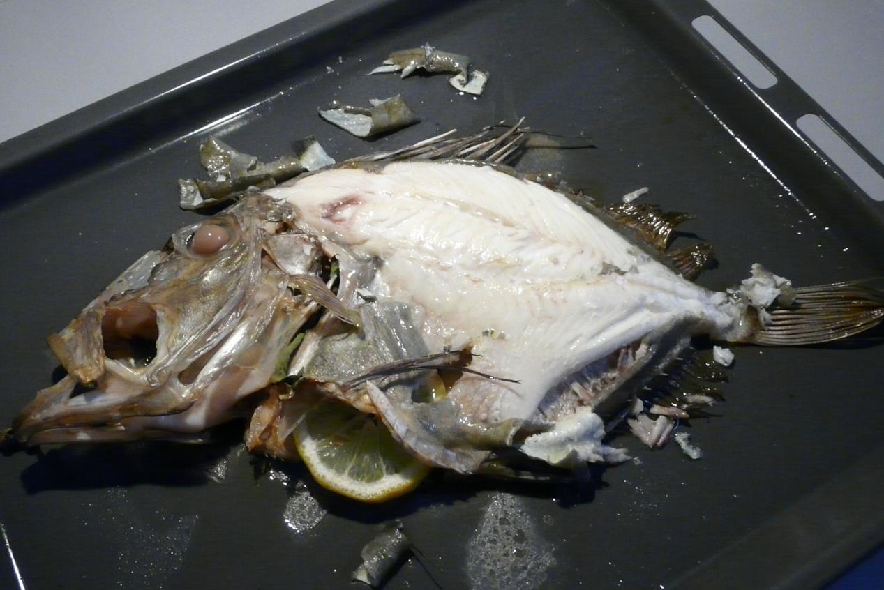Kulinarische Welten zu Fisch- und Meeresfrucht: Sankt-Petersfisch ...
