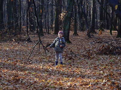 Puszcza Niepołomicka, jesienny spacer, zabawy w lesie