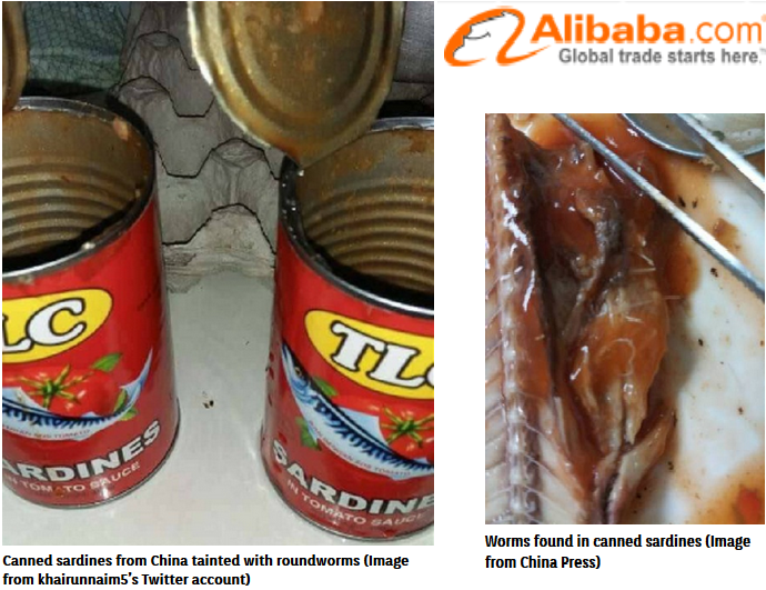 Fish Found In Canned